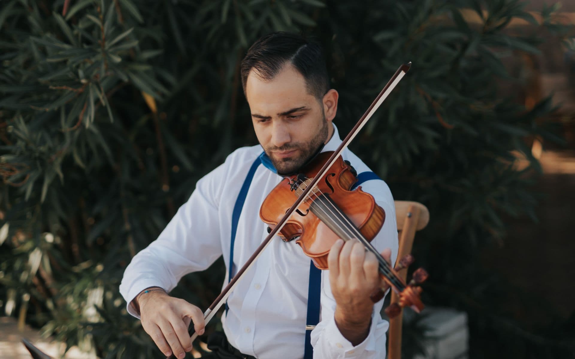 image of one cello and a half