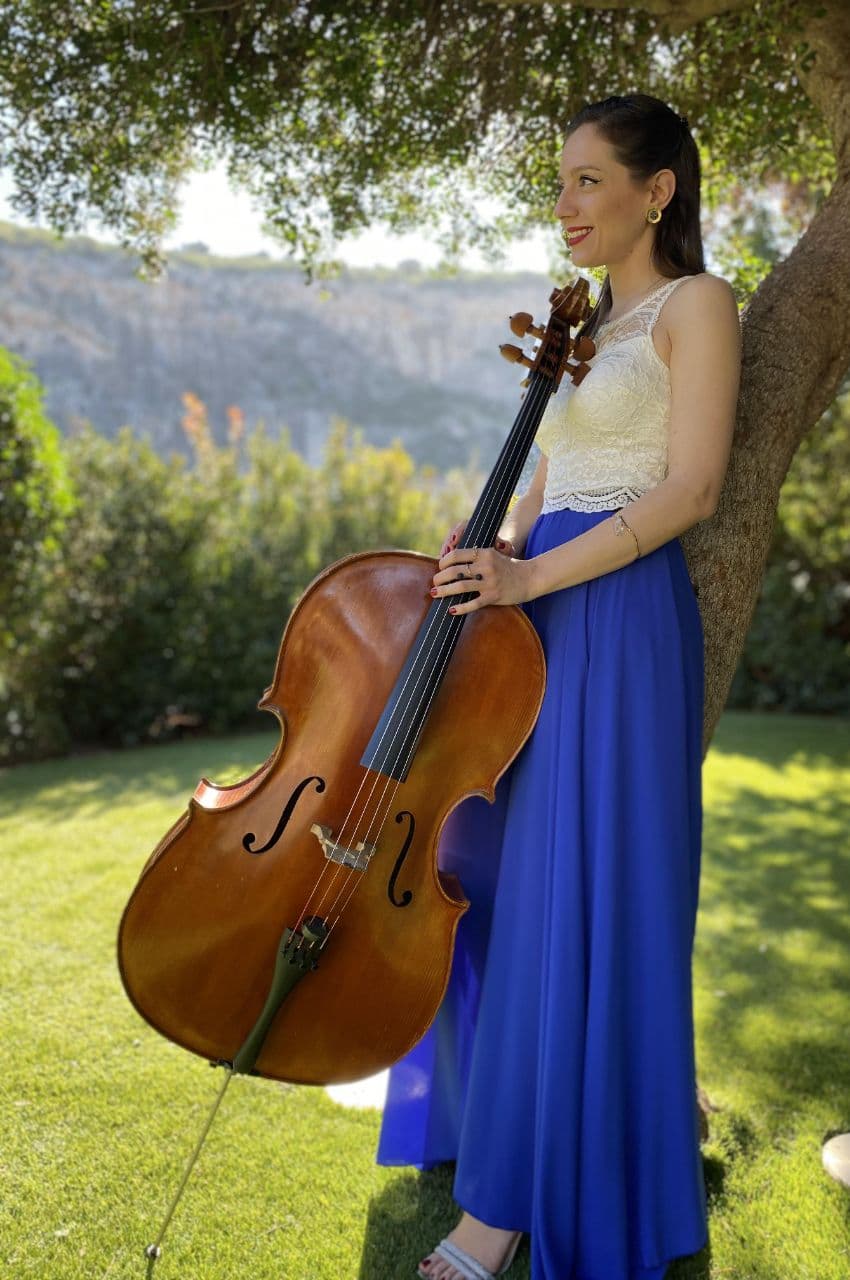 image of one cello and a half